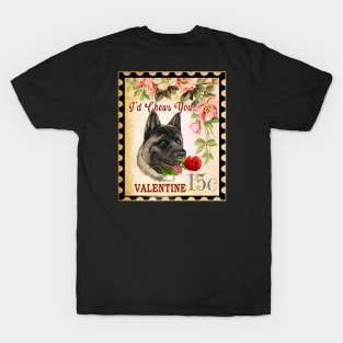 American akita Vintage Valentine Funny Dog With Rose T-Shirt